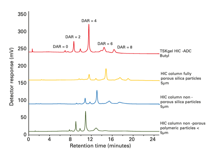 TSKgel® HIC-ADC Butyl Columns Designed for Antibody-Drug Conjugate Analysis