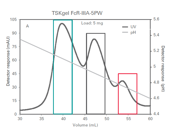 CHARACTERIZATION OF MAB AFFINITY ON FCγRIIIALIGAND BY ANALYTICAL AND SEMI-PREPARATIVE CHROMATOGRAPHY